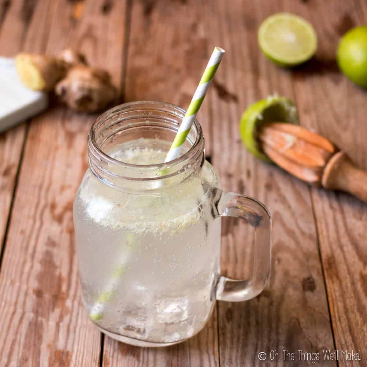 Healthy Homemade Ginger Ale Oh The