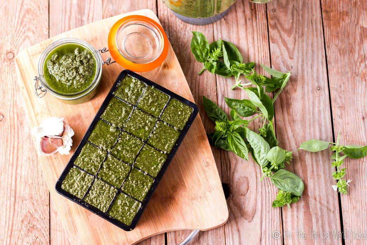 overhead view of homemade pesto sauce in a jar and in ice cube trays