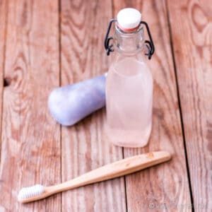 Homemade mouthwash for dogs best sale