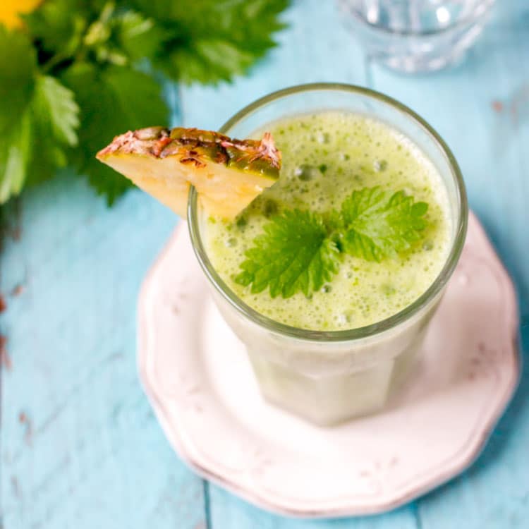 stinging nettle smoothie garnished with nettle leaves and pineapple slice