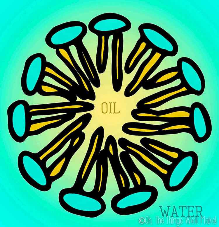 drawing depiction of a micelle, with oil in the center and water around it.