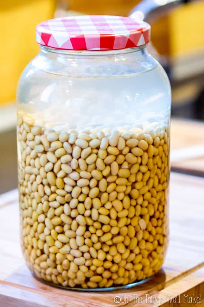 How to Make Soy Sauce (Homemade Shoyu) Oh, The Things We'll Make!