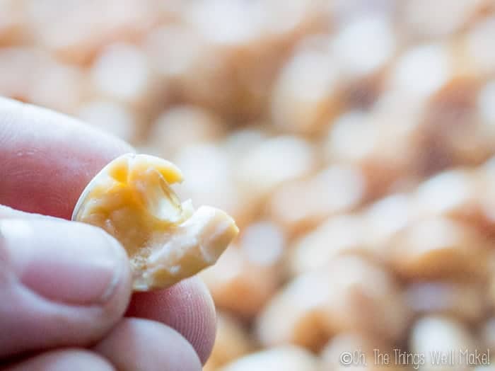 smashing a steamed soybean between my fingers.