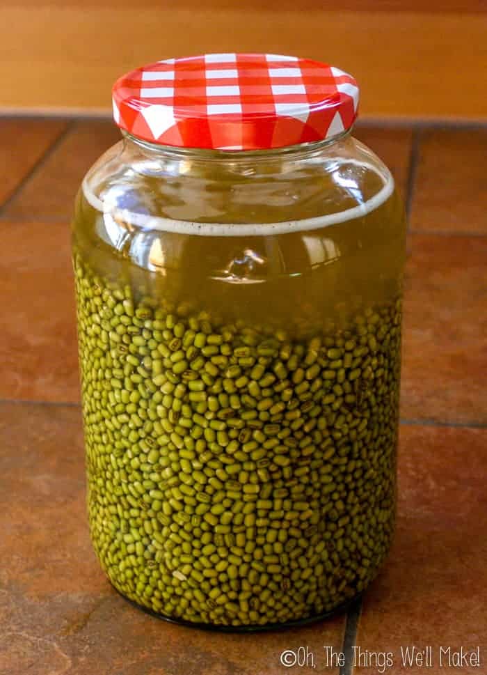 a jar of green soybeans soaking in water