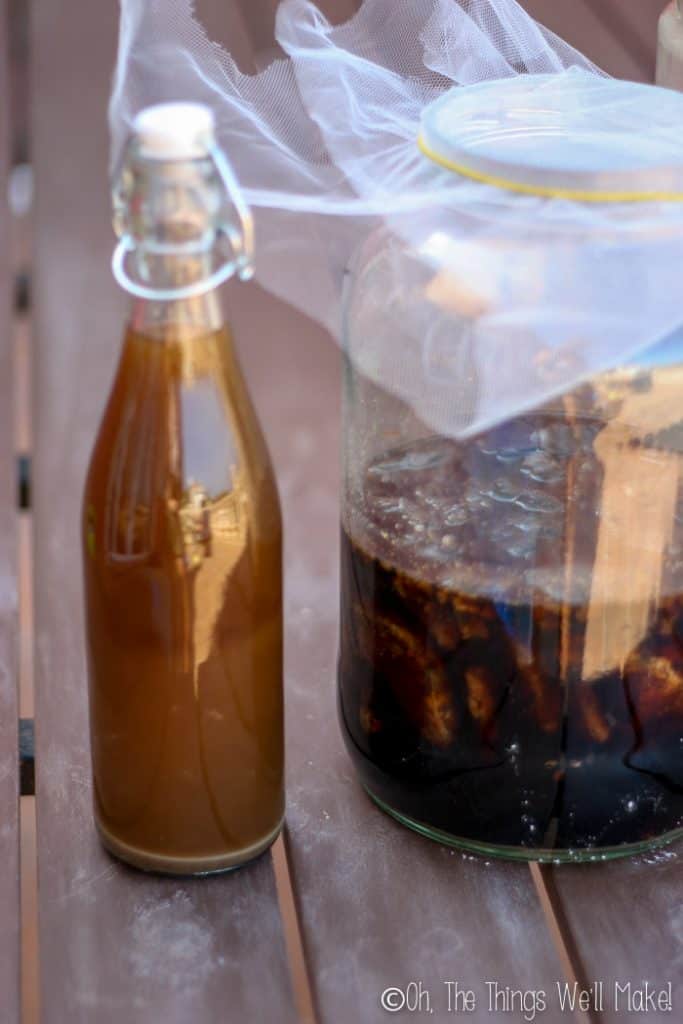 How to Make Soy Sauce (Homemade Shoyu) Oh, The Things We'll Make!