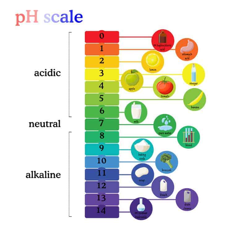 A photo of a pH scale with acidic products at the top and alkaline products at the bottom.