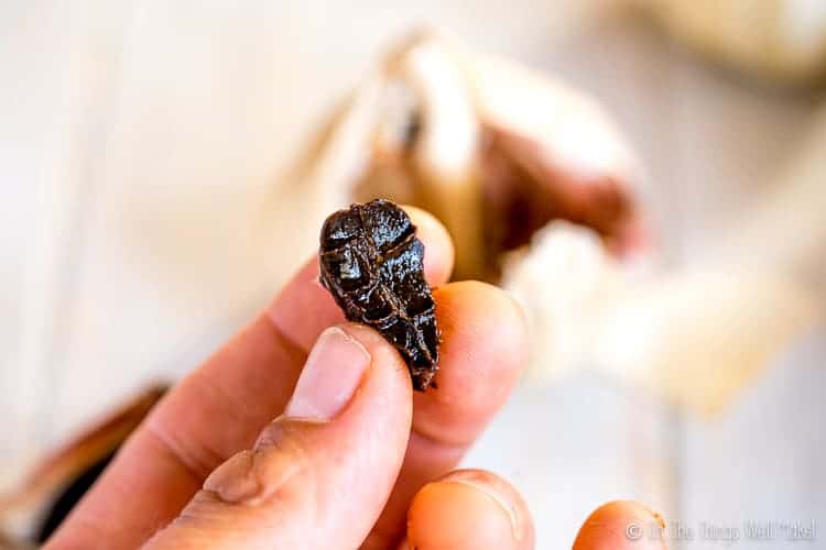 closeup of a clove of black garlic with bite marks