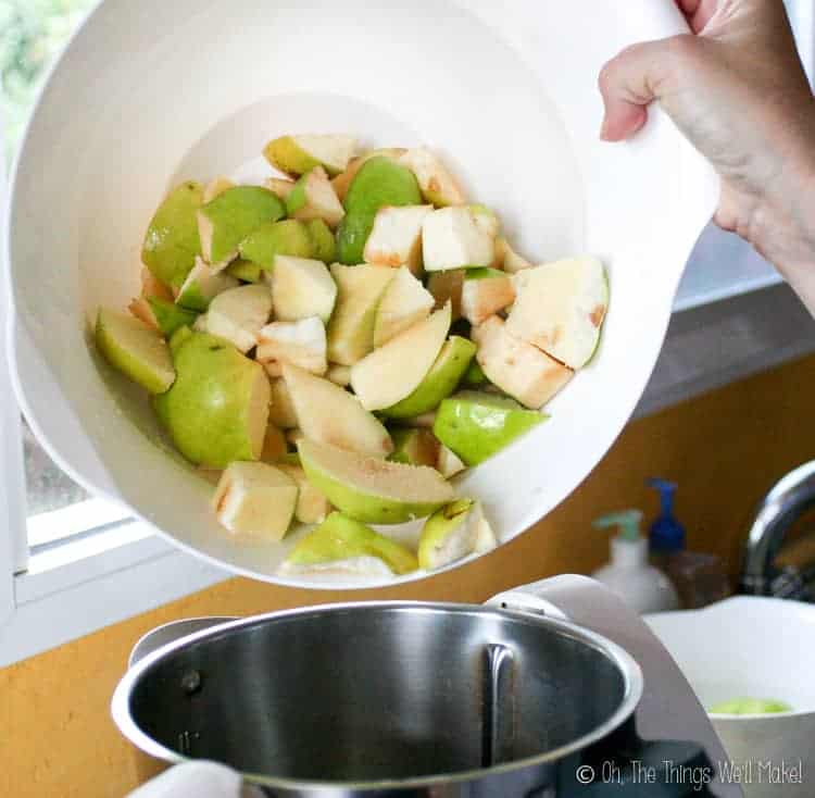 Adding cut quince pieces to a food processor