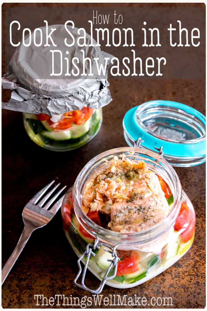 How to Cook Salmon in the Dishwasher Oh, The Things We'll Make!