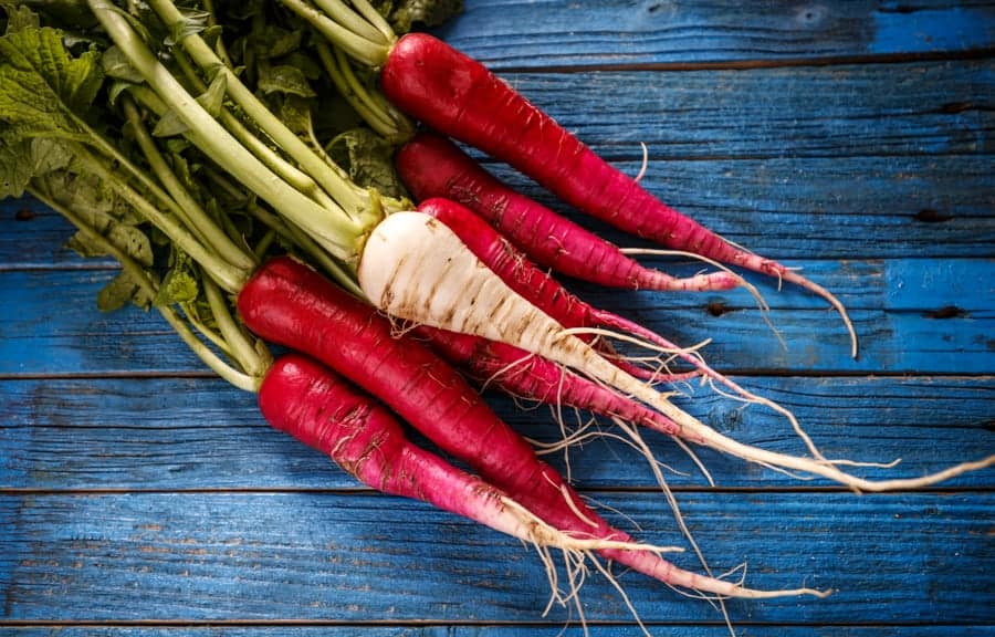 A bunch of radishes on a blue wood background