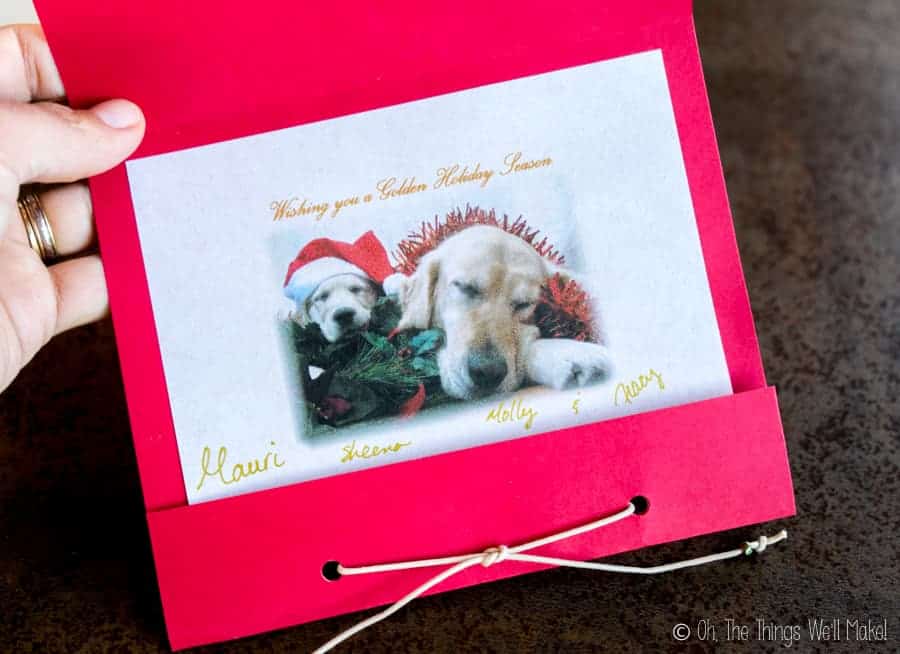 A handmade card with a photo of two golden retrievers dressed up for Christmas.