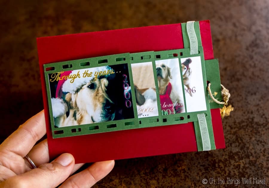 A closed "waterfall" style photo Christmas card with dog photos.