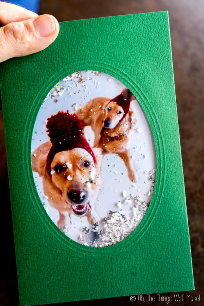 A green snowglobe card with a photo of two dogs in ski caps as the background image. The card is filled with white and silver glitter "snow."