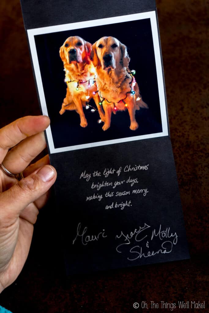 A black homemade card with 2 dogs wrapped in lit Christmas lights. Inside, a greeting is written in silver writing.