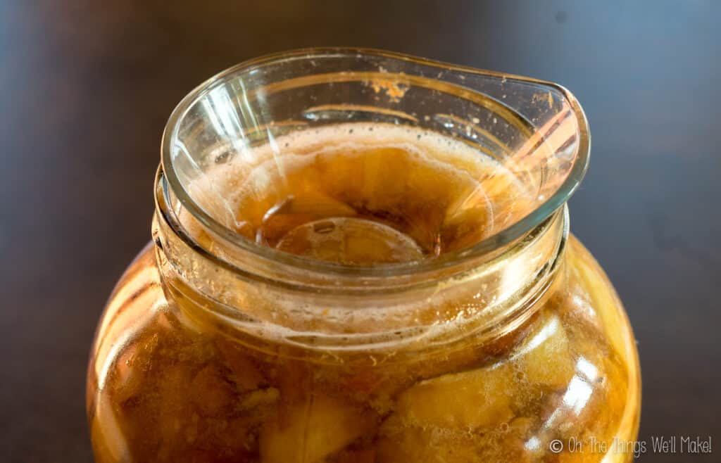 homemade apple cider vinegar with a bowl placed on top of the apples to press them down into the jar.
