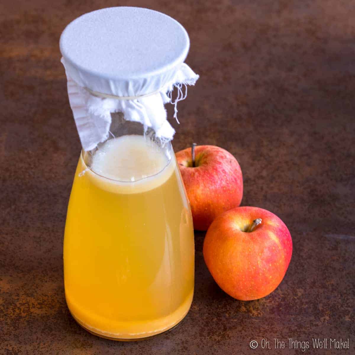 how to make apple cider vinegar