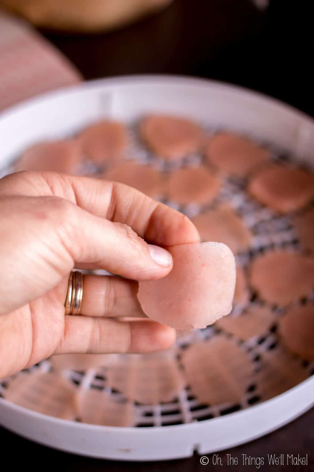 Prawn Crackers from Scratch Oh, The Things We'll Make!