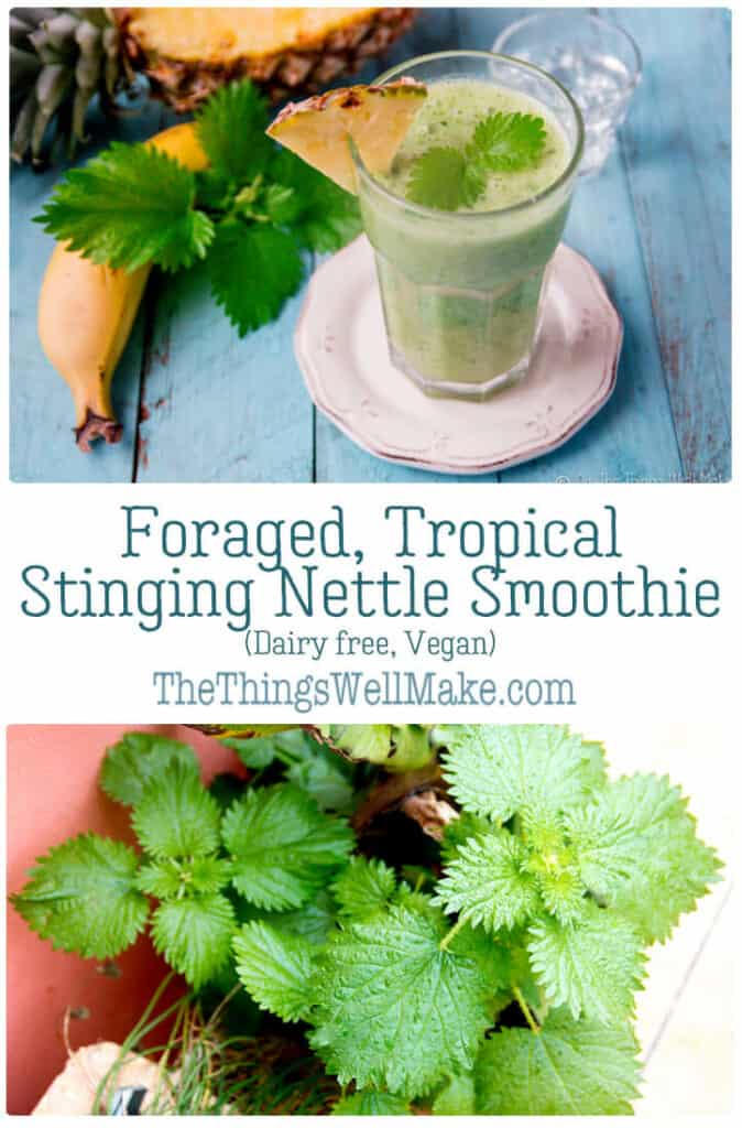 Don't let its sting scare you away, the stinging nettle packs a powerful nutritional punch and is a tasty addition to smoothies. Learn how to reap its benefits without getting stung! #stingingnettle #nettlerecipes #thethingswellmake #healthysmoothies #lowoxalatesmoothie
