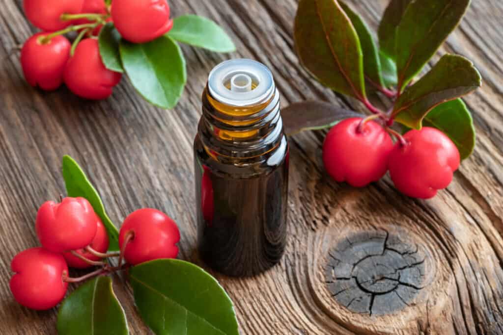 An amber bottle of wintergreen essential oil surrounded by fresh wintergreen