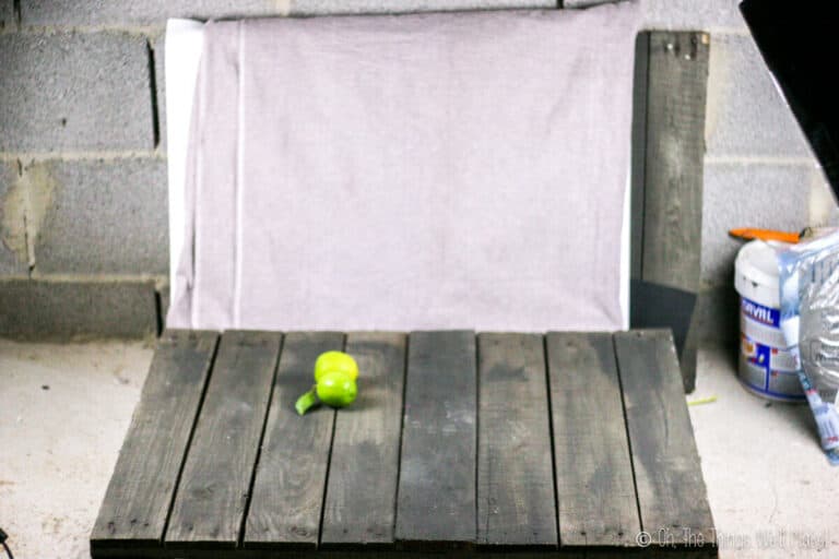 DIY Photography Backdrops: Using A Pallet "Studio" - Oh, The Things We'll Make!