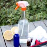 Two spray bottles and two essential oil bottles, with a lemon cut in half, a squeegee, and a cleaning rag.
