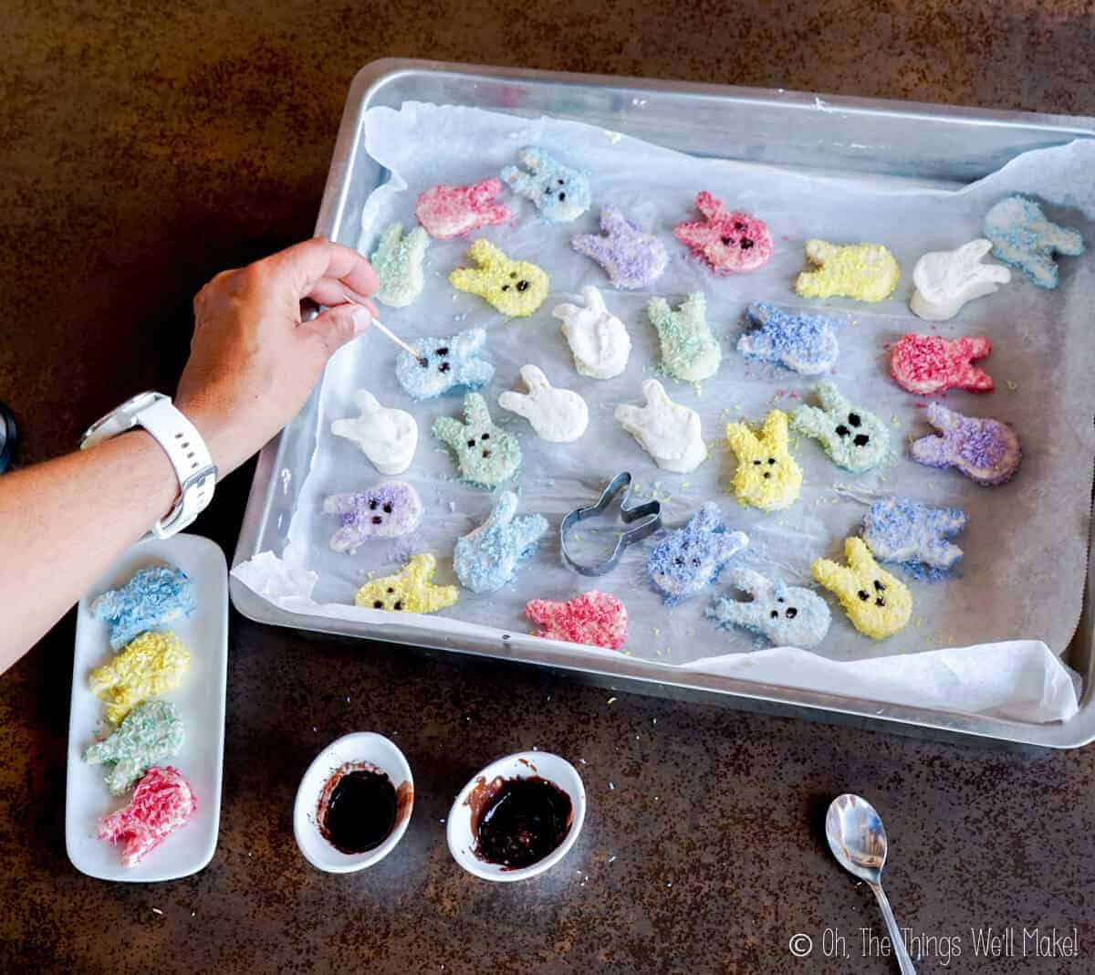 Overhead view of a hand using a toothpick covered in chocolate to decorate homemade bunny shaped marshmallows coated in colored coconut.