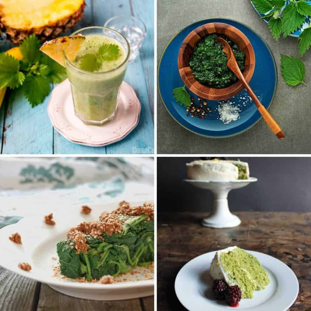 a collage of 4 photos of different recipes using stinging nettles.