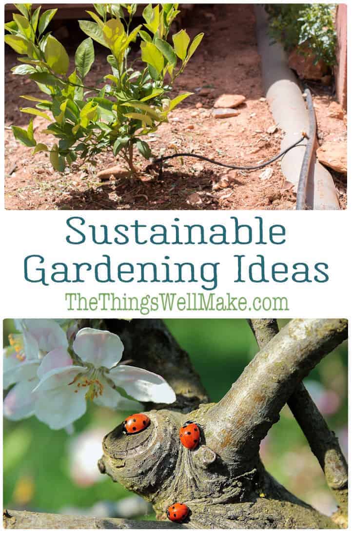 Sustainable Gardening Ideas - Oh, The Things We'll Make! - Environmentally Friendly Gardening Ideas