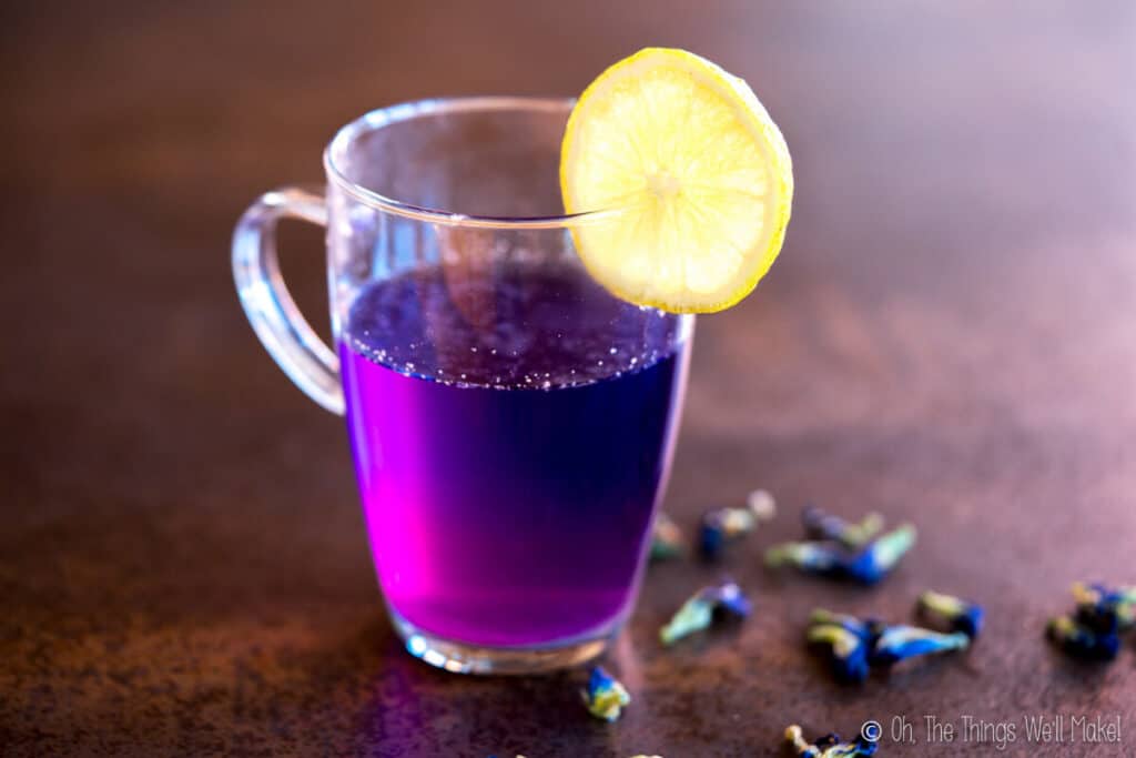 a cup of purple tea with a lemon slice over the edge of the glass and butterfly pea flowers around it.