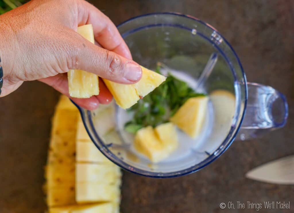 adding pineapple to a blender cup