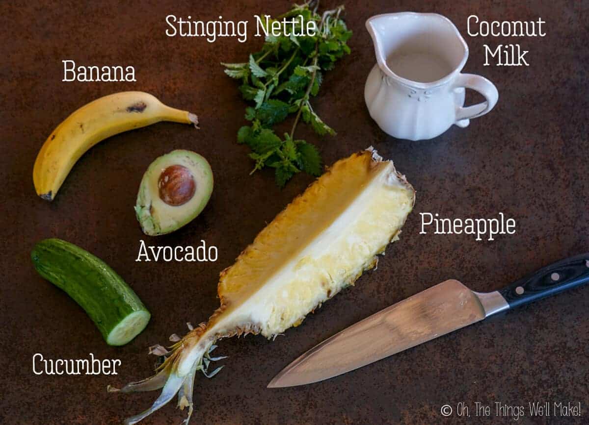 Overhead view of pineapple, avocado, banana, cucumber, stinging nettle, and coconut milk