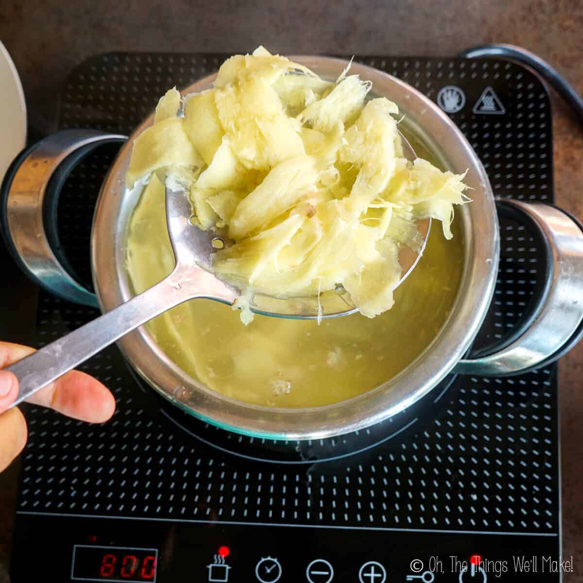 Straining out the cooked ginger from the water in a pan.