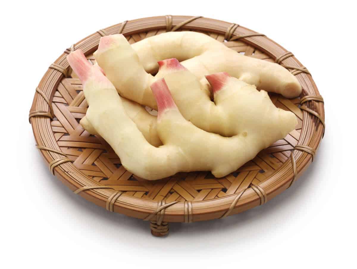 Young ginger with pink tips on a woven tray.