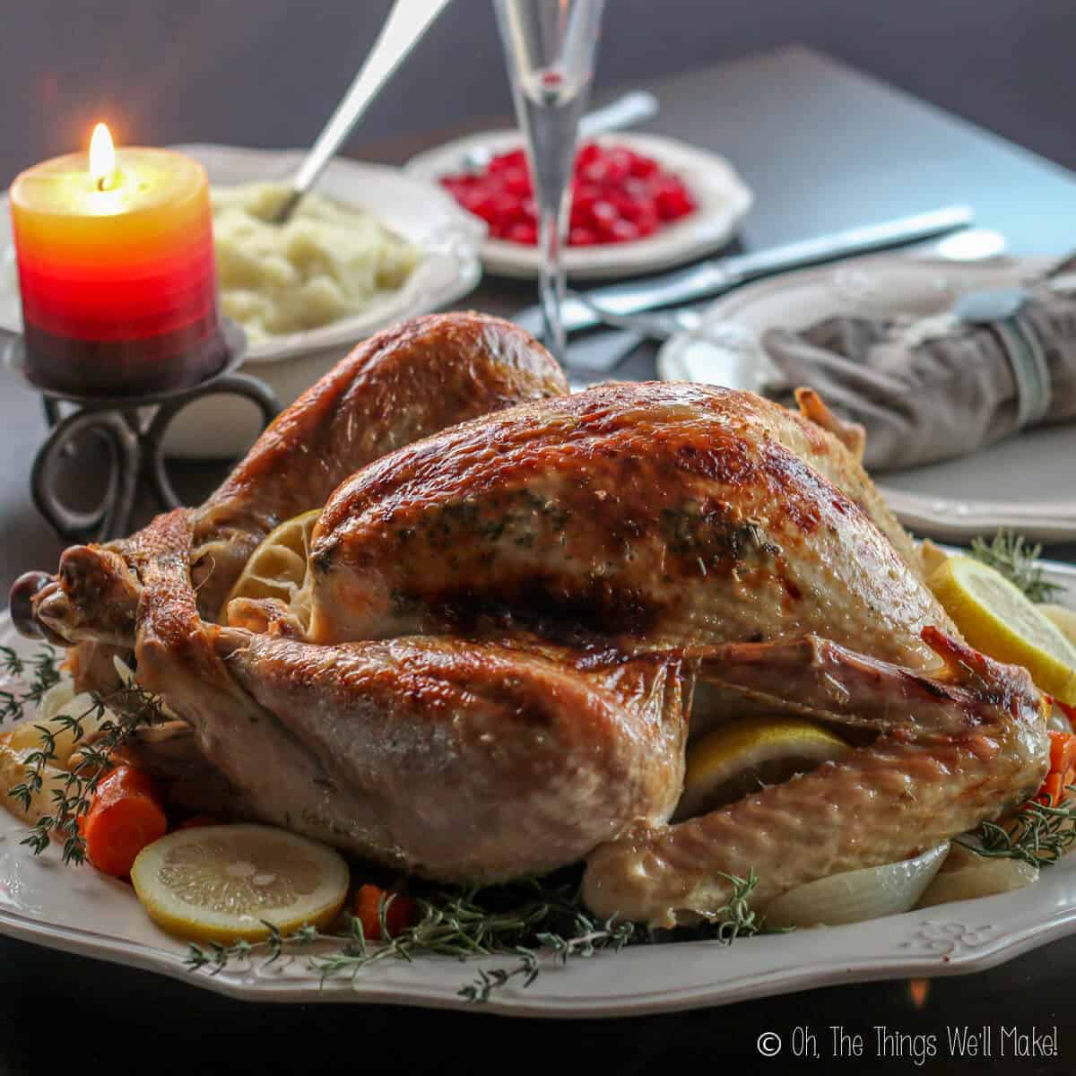 Roasted whole turkey on a platter
