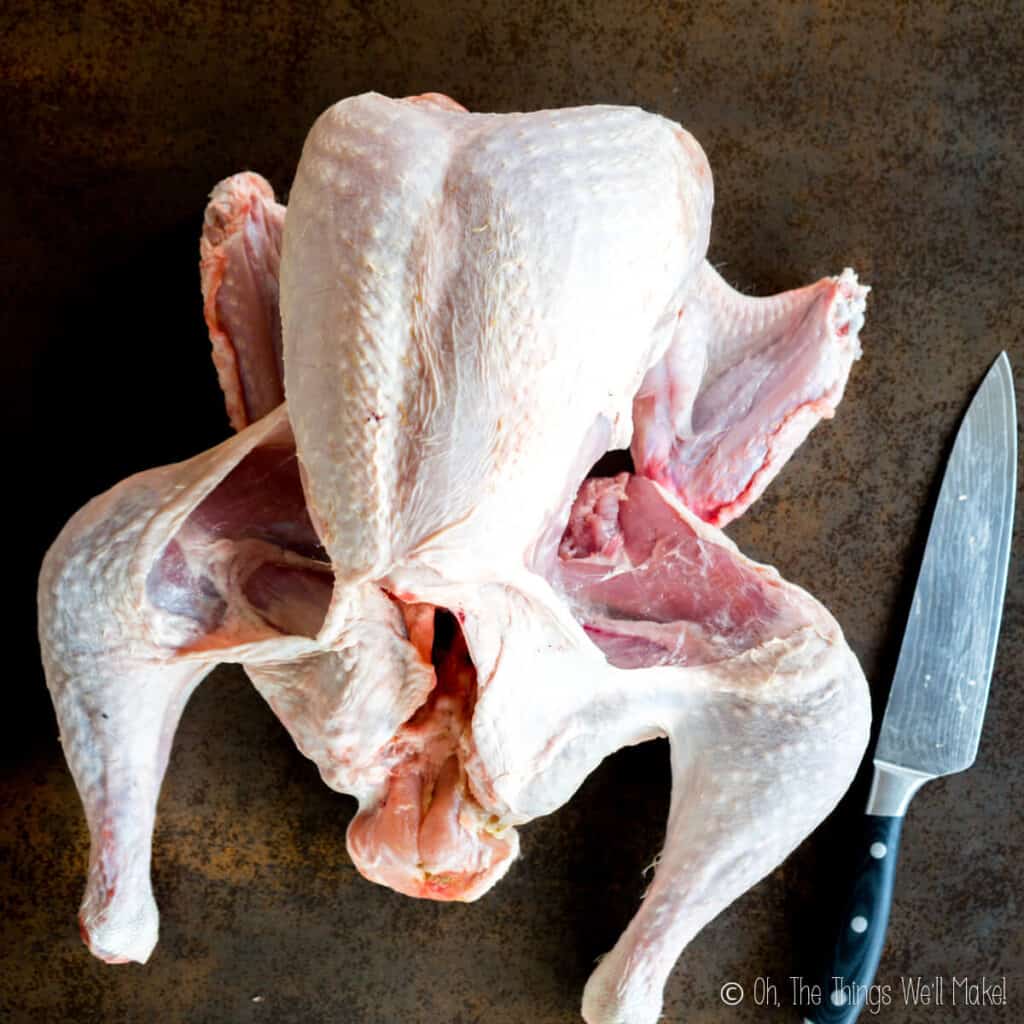 A turkey, breast side up, with the thighs spread open to stabilise the bird. 