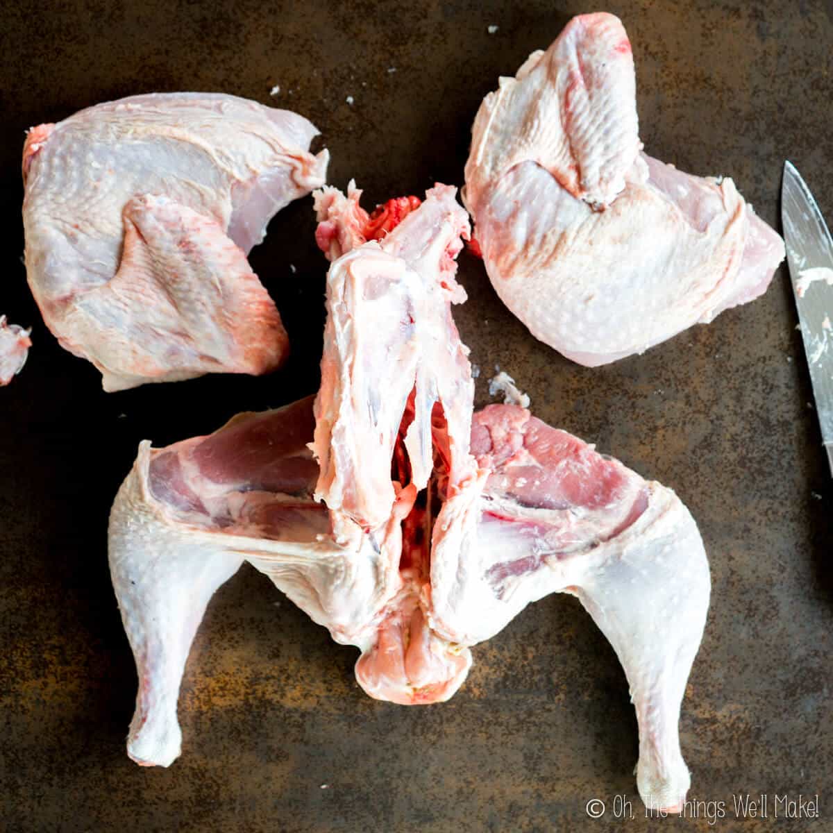 Turkey with both breasts removed
