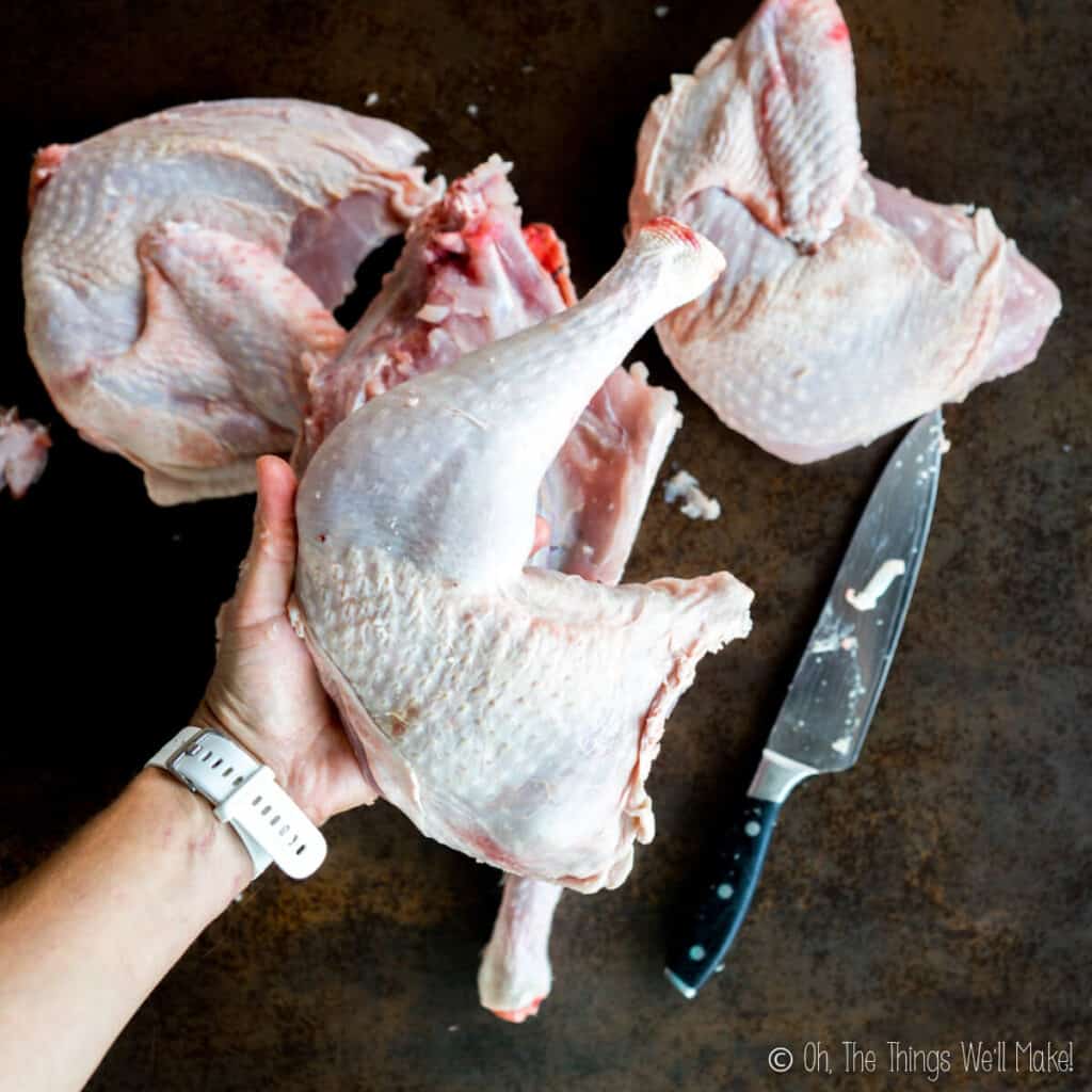 Holding up a turkey thigh with leg