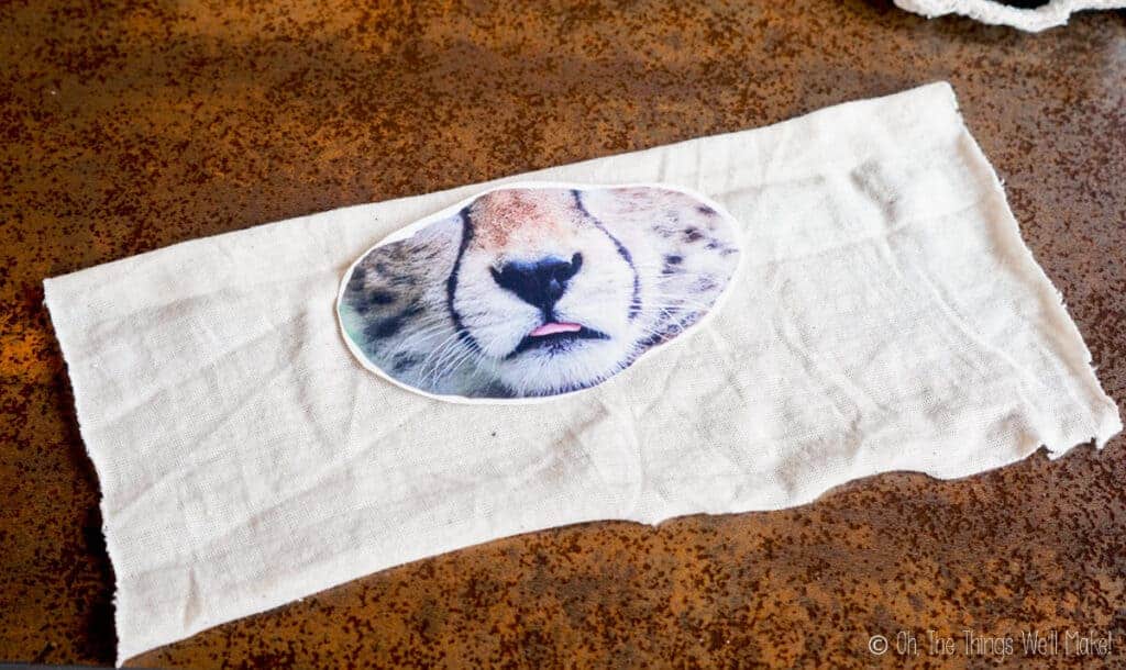 A cutout of a leopard nose and mouth over a piece of cloth