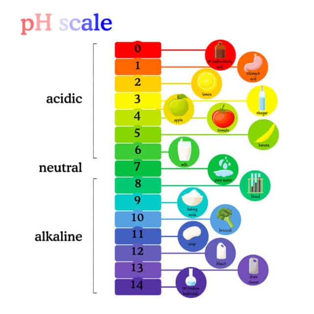 The Importance of pH in Cosmetics - Oh, The Things We'll Make!