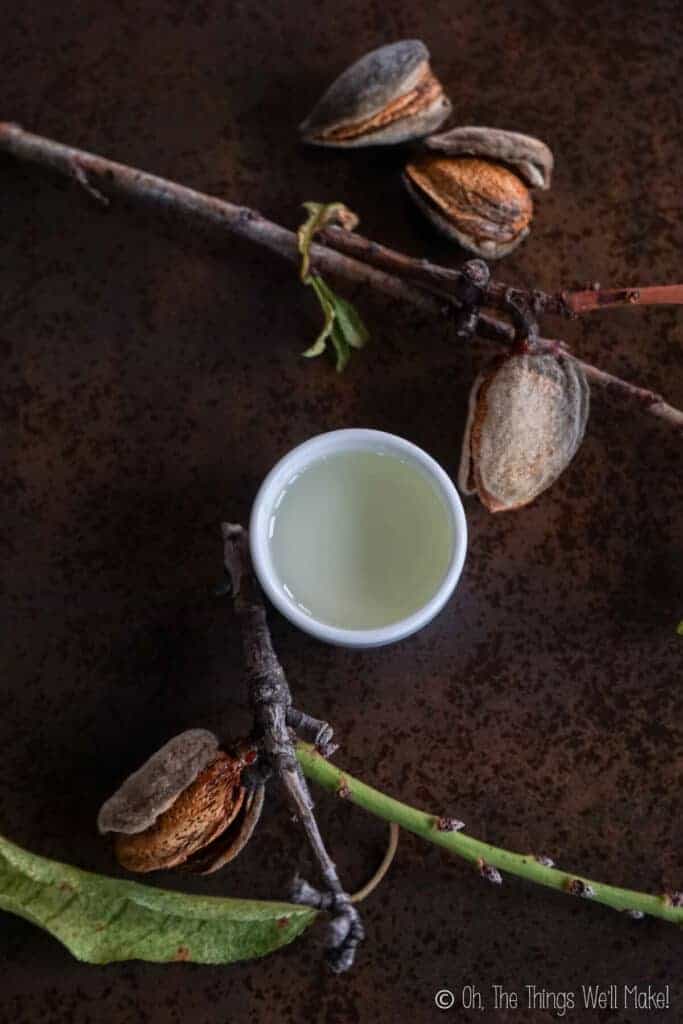 Overhead view of a bowl of almond oil surrounded by almonds on branches