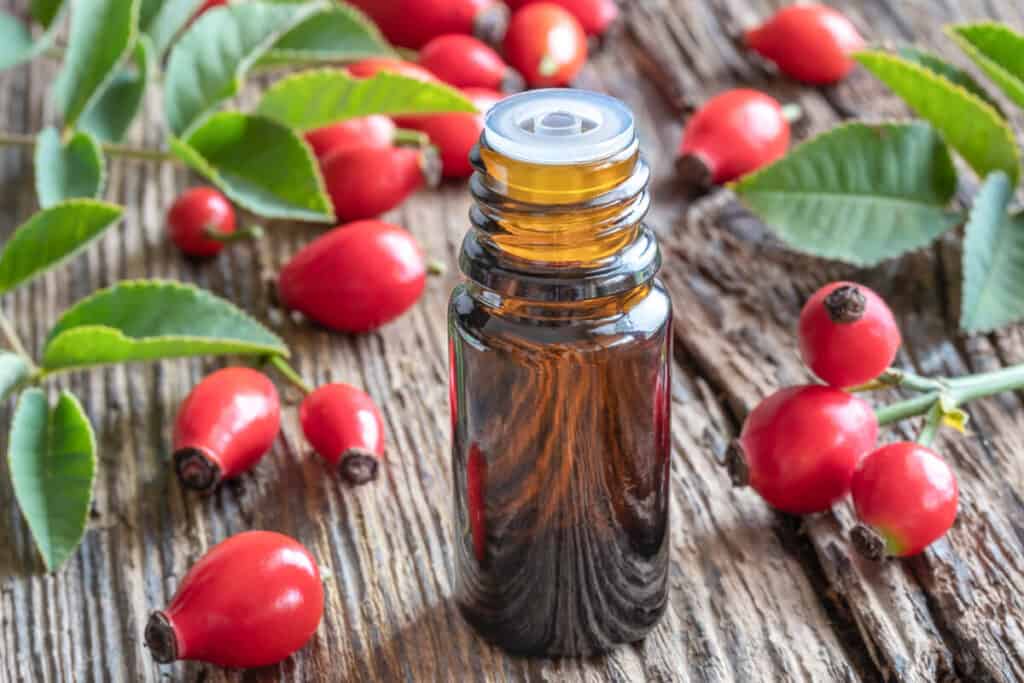 A bottle of rosehip oil surrounded by rosehips