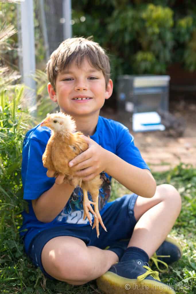 A boy holding a brown chick