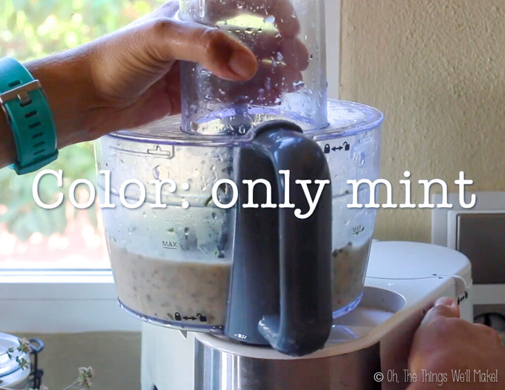 white ice cream in a food processor with only mint