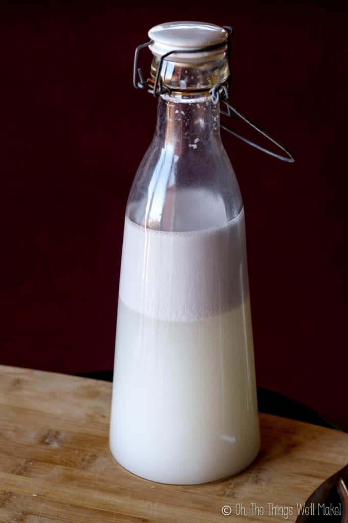Homemade coconut milk that has separated into two layers, a frothy top layer and a smooth liquid at the bottom.