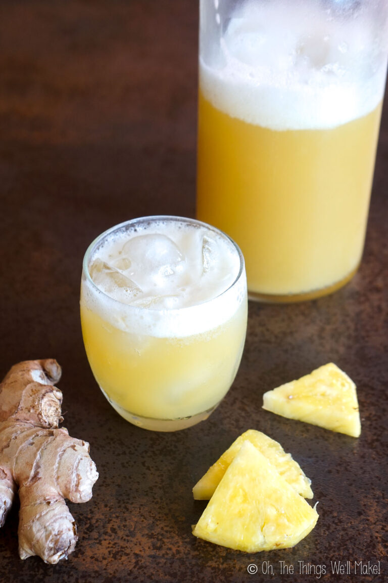 How to Make a Ginger Bug Oh, The Things We'll Make!