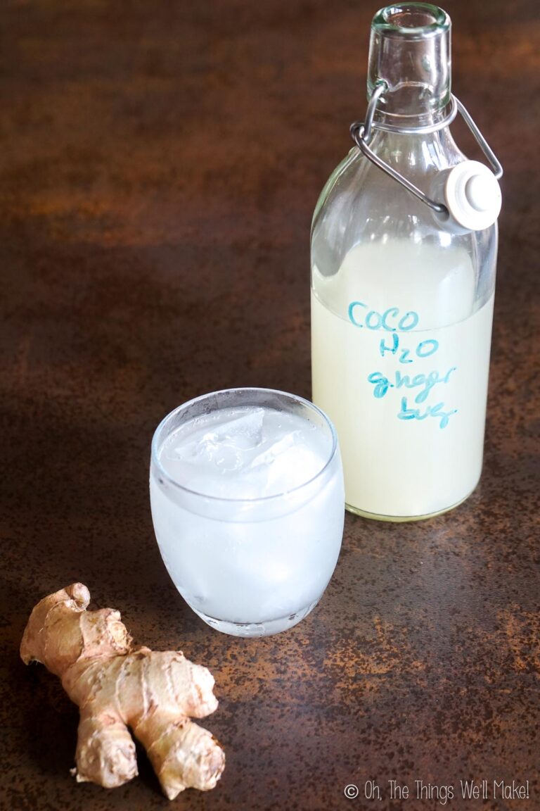 How to Make a Ginger Bug Oh, The Things We'll Make!