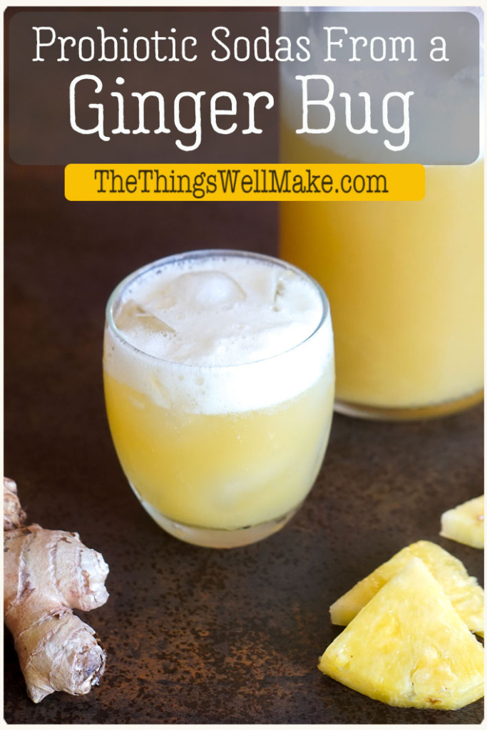 Perfect for making healthier sodas and naturally fermented ginger beer, a ginger bug is a delicious ferment that is easy to make at home. Learn how to make a ginger bug and how to use it to make fermented drinks. #gingerbug #gingerrecipes #healthysodas