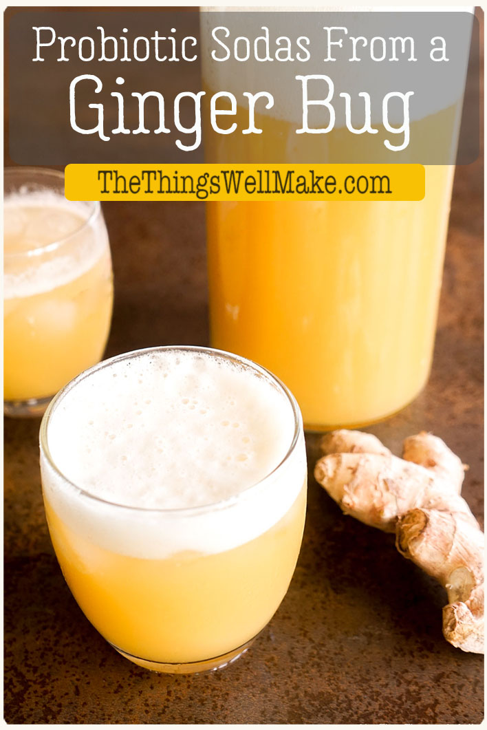 How to Make a Ginger Bug Oh, The Things We'll Make!