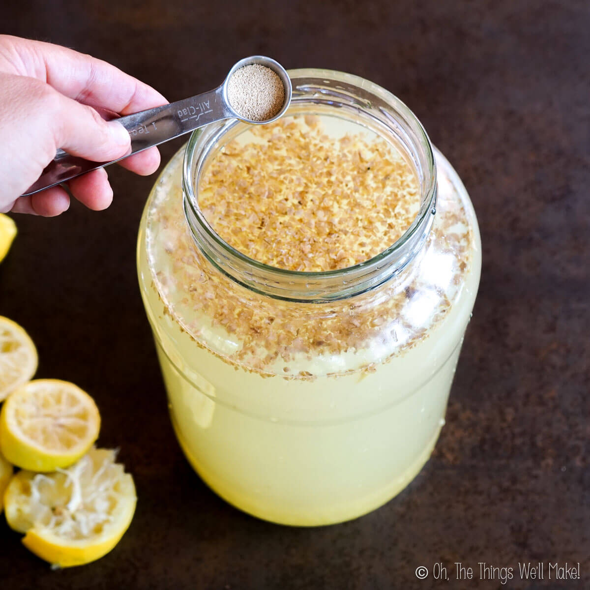 Adding yeast to a mixture of ginger and water