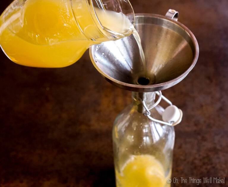 Fermented Ginger Beer Oh, The Things We'll Make!